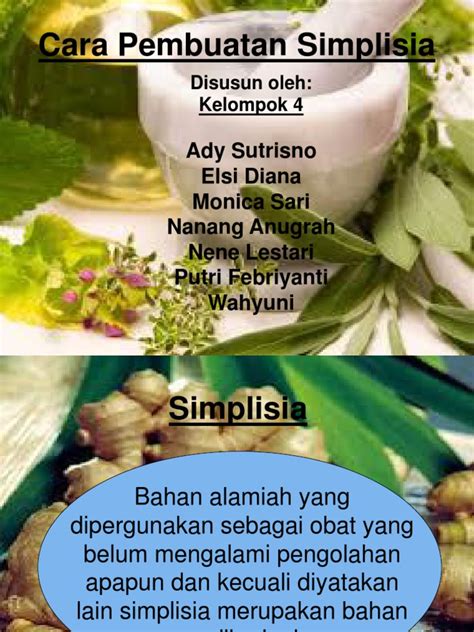 Cara Mudah Membuat Simplisia Secara Alami dan Berkualitas Tinggi